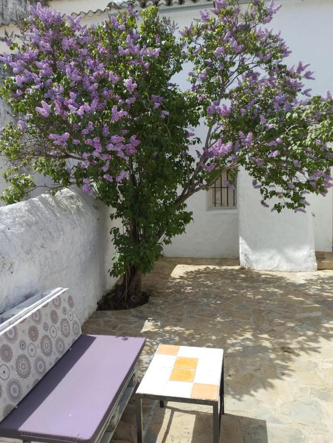 فيلا Casa Bejar, Tranquila Casa Con Chimenea, Patios, Junto A La Piscina Canete la Real المظهر الخارجي الصورة